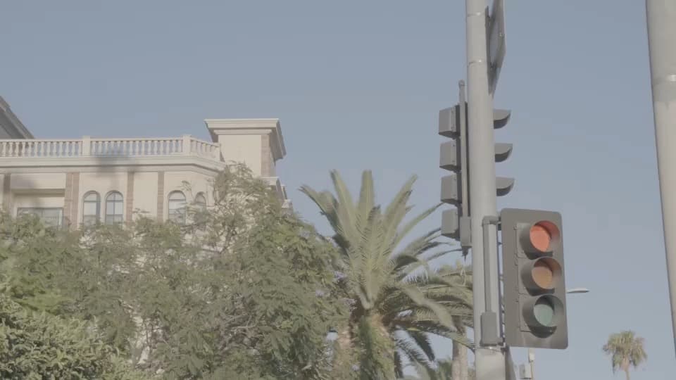A traffic signal on a Los Angeles corner, on red, with palms and a cream building behind it